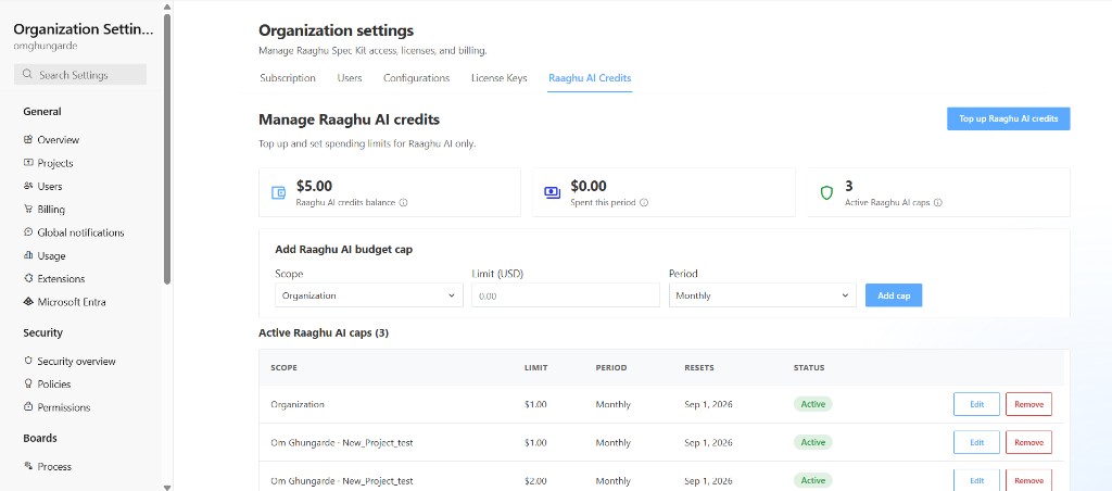 Raaghu AI Credits